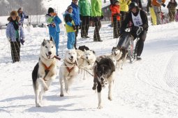 Lenk 2012 SM